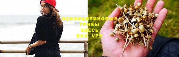 кокаин VHQ Алексеевка