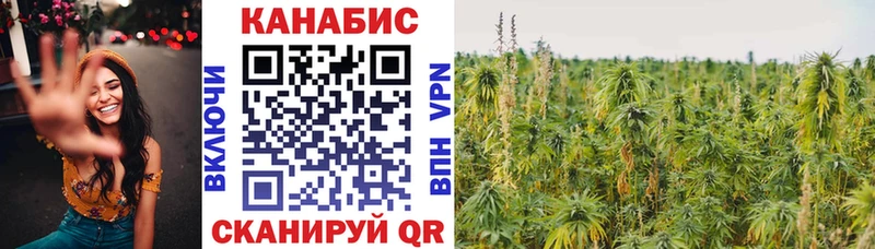Бошки Шишки MAZAR  где найти наркотики  Ветлуга 